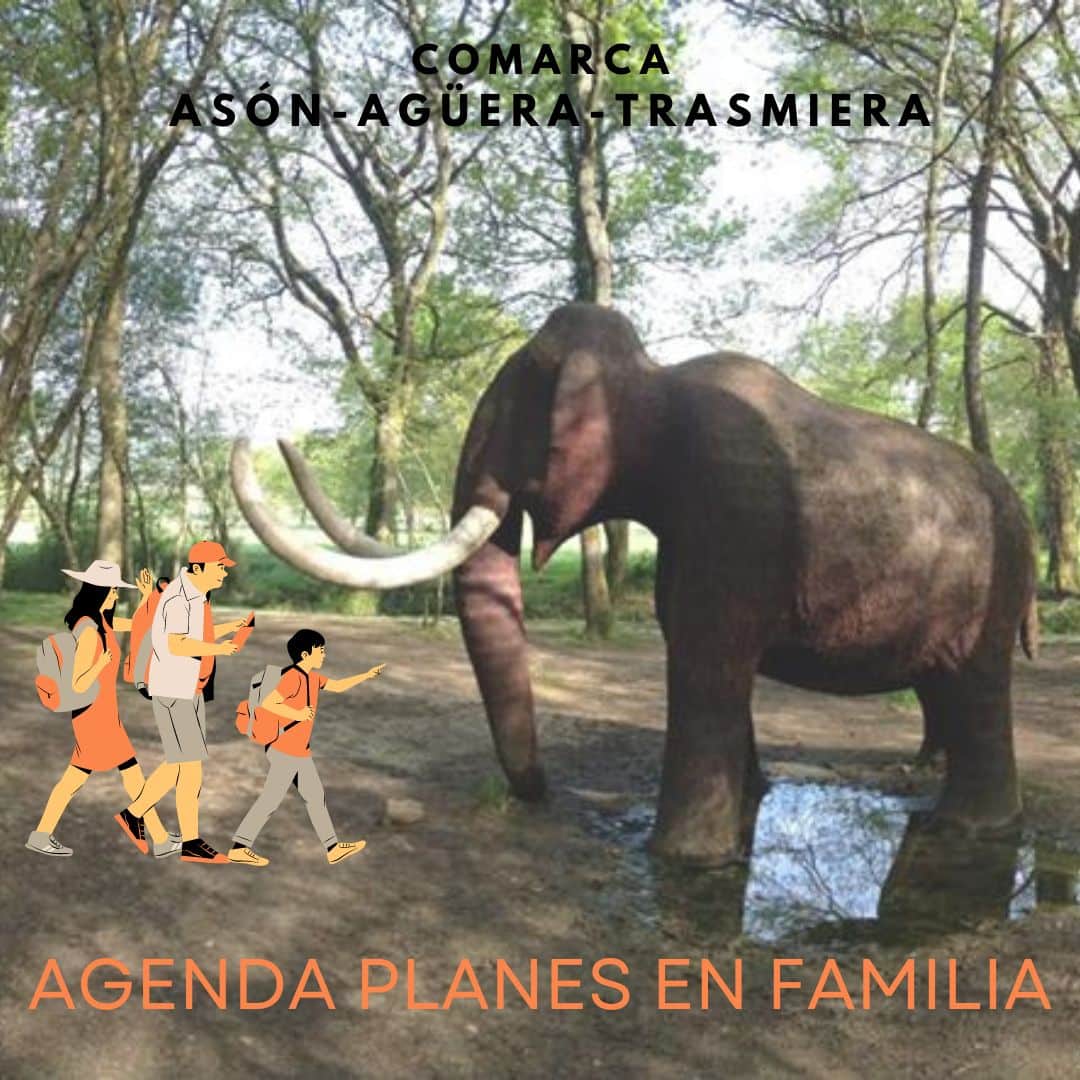 ngo-illustration-Artboard 5