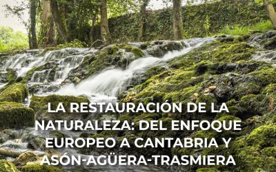 Restauración de la naturaleza: de la UE a Cantabria y la comarca